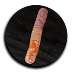 میکس پلیت سورن (وکیوم)